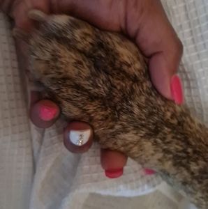 Meet your Posher, Keotta